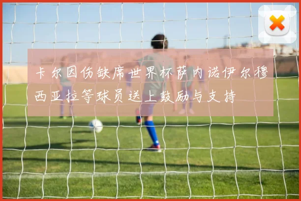 卡尔因伤缺席世界杯萨内诺伊尔穆西亚拉等球员送上鼓励与支持